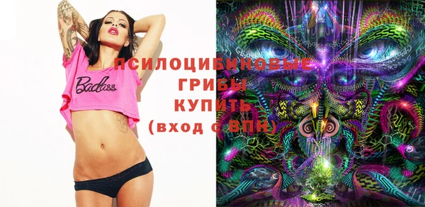 твердый Белокуриха
