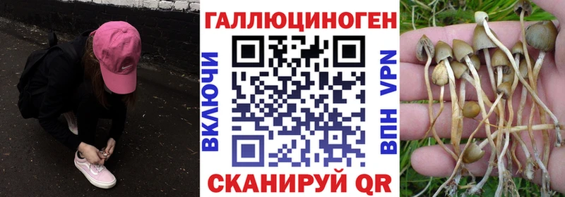 Галлюциногенные грибы MAGIC MUSHROOMS  Купить закладки  Сердобск 